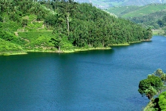 munnar-gallery-8